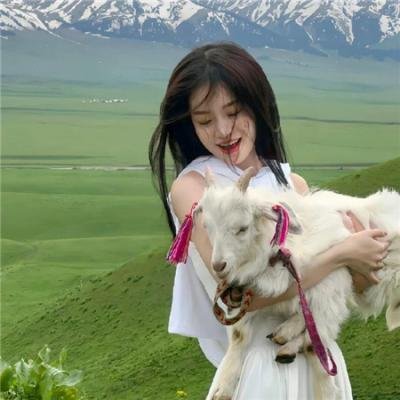 全谎位登月海报
